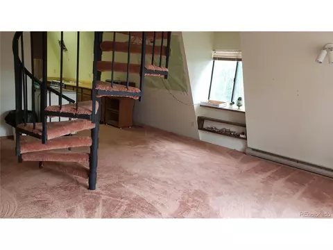 556 Burton St, Bailey, CO 80421 photo 12