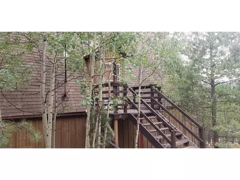 556 Burton St, Bailey, CO 80421 photo 2