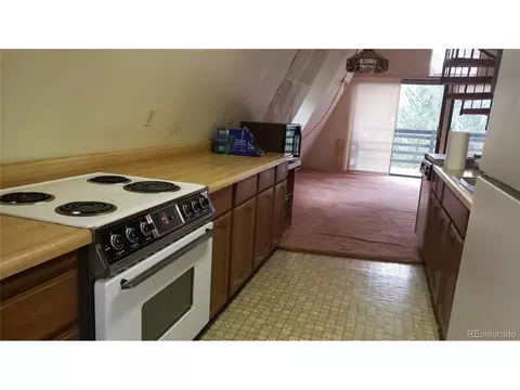 556 Burton St, Bailey, CO 80421 photo 6