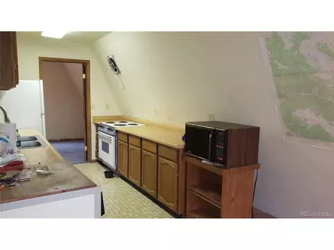 556 Burton St, Bailey, CO 80421 photo 7