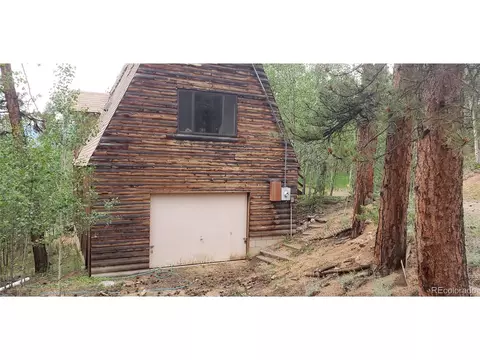 556 Burton St, Bailey, CO 80421 photo 22
