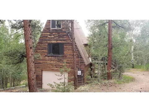 556 Burton St, Bailey, CO 80421 photo 21