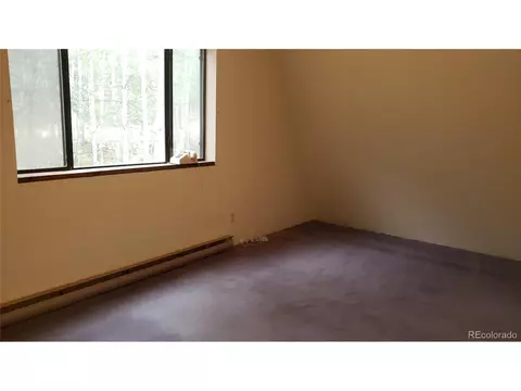 556 Burton St, Bailey, CO 80421 photo 11