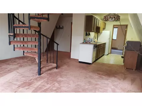 556 Burton St, Bailey, CO 80421 photo 5