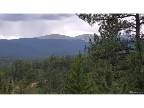 556 Burton St, Bailey, CO 80421 photo 29