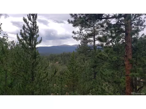 556 Burton St, Bailey, CO 80421 photo 27