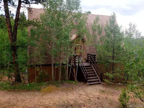 556 Burton St, Bailey, CO 80421