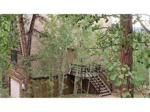 556 Burton St, Bailey, CO 80421 photo 17