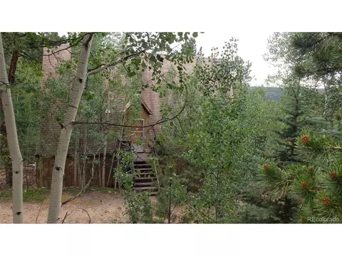 556 Burton St, Bailey, CO 80421 photo 19