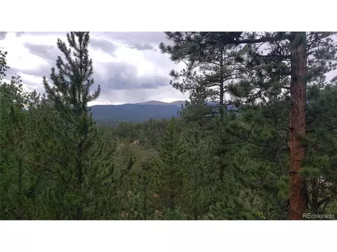 556 Burton St, Bailey, CO 80421 photo 26