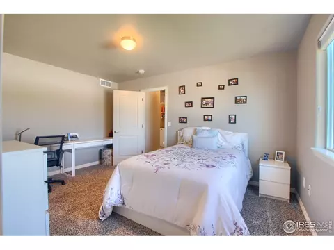 5595 Clarence Dr, Windsor, CO 80550 photo 18