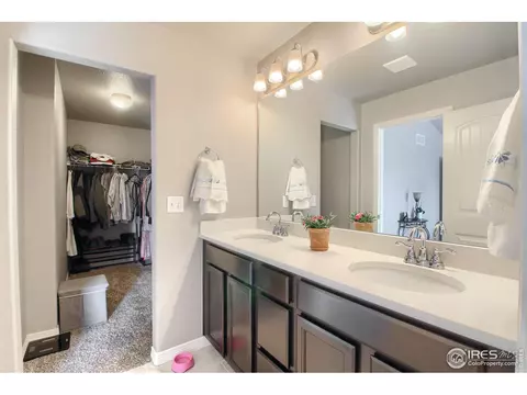 5595 Clarence Dr, Windsor, CO 80550 photo 15