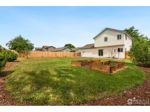 809 Scotch Pine Dr, Windsor, CO 80550 photo 19