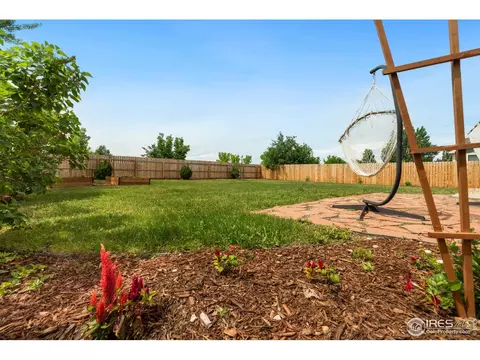 809 Scotch Pine Dr, Windsor, CO 80550 photo 18