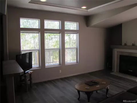 Living - 8575 Ranch Rd, Hartsel, CO 80449 photo 3 of 4