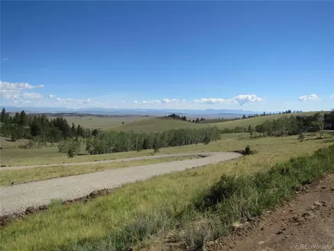 Other - 8575 Ranch Rd, Hartsel, CO 80449 photo 14 of 15