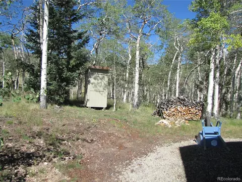 Exterior - 8575 Ranch Rd, Hartsel, CO 80449 photo 9 of 9