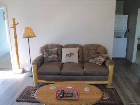 Living - 8575 Ranch Rd, Hartsel, CO 80449 photo 4 of 4