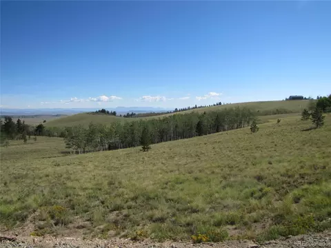 Other - 8575 Ranch Rd, Hartsel, CO 80449 photo 3 of 15