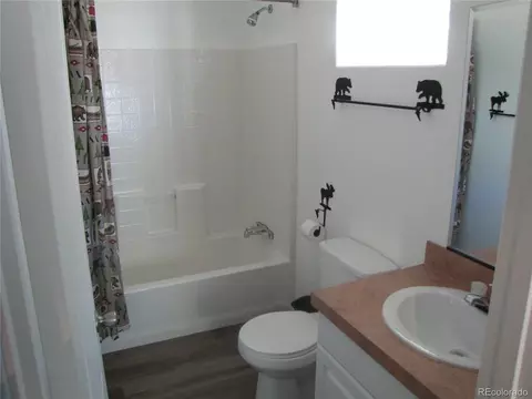 Bath - 8575 Ranch Rd, Hartsel, CO 80449 photo 1 of 2