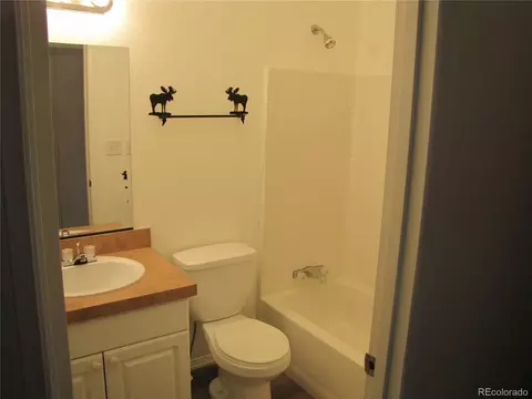 Bath - 8575 Ranch Rd, Hartsel, CO 80449 photo 2 of 2