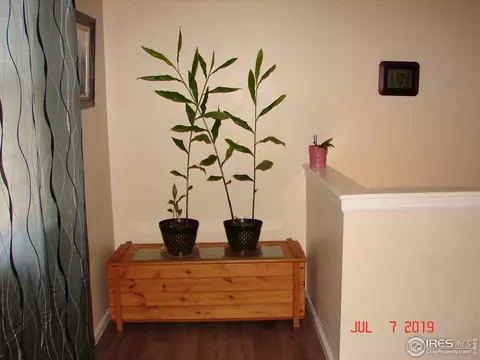 2242 Alpine Ave, Greeley, CO 80631 photo 8
