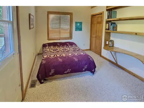 637 1st Ave, Lyons, CO 80540 photo 17