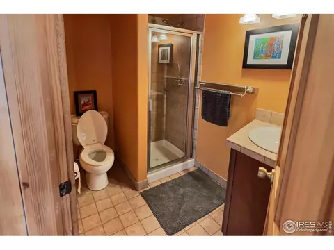 637 1st Ave, Lyons, CO 80540 photo 20
