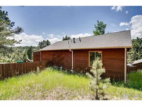 34402 Ella Ave, Pine, CO 80470 photo 35
