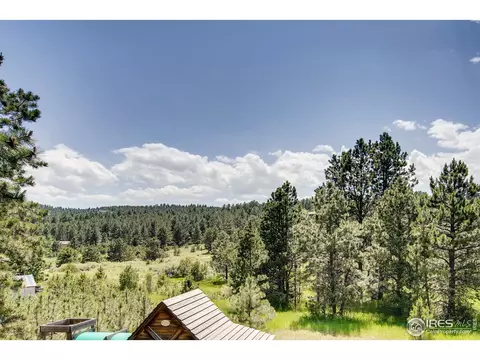 34402 Ella Ave, Pine, CO 80470 photo 33
