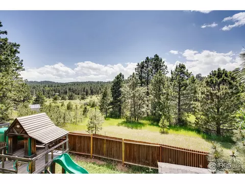 34402 Ella Ave, Pine, CO 80470 photo 34