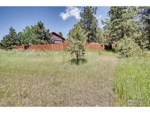 34402 Ella Ave, Pine, CO 80470 photo 30