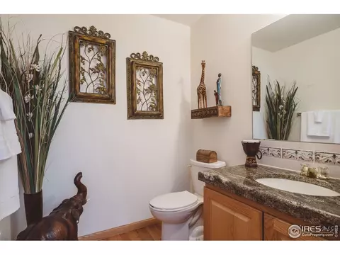 871 Panorama Pl, Windsor, CO 80550 photo 15