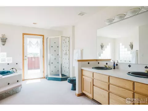 871 Panorama Pl, Windsor, CO 80550 photo 19