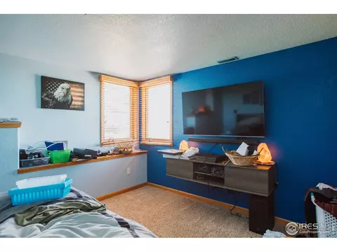 871 Panorama Pl, Windsor, CO 80550 photo 32