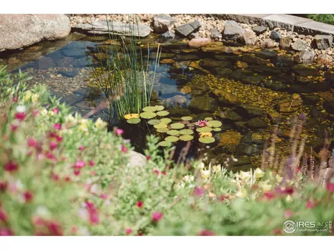 871 Panorama Pl, Windsor, CO 80550 photo 35