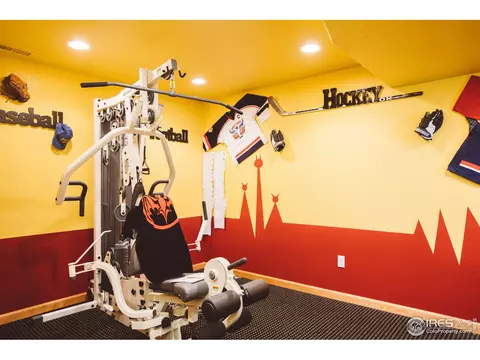 871 Panorama Pl, Windsor, CO 80550 photo 28