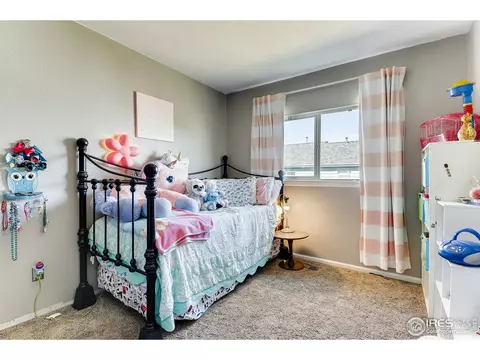 795 Mockingbird St, Brighton, CO 80601 photo 11