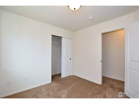 2111 Orchard Bloom Dr, Windsor, CO 80550 photo 29