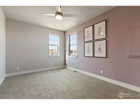 8812 E 47th Ave, Denver, CO 80238 photo 29