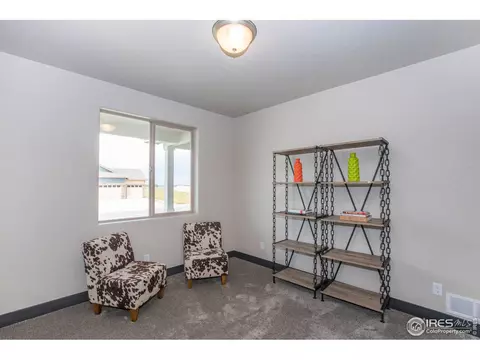 5773 Carmon Dr, Windsor, CO 80550 photo 23