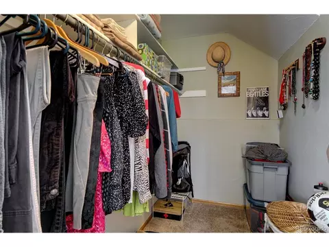 220 Iris Dr, Bailey, CO 80421 photo 22
