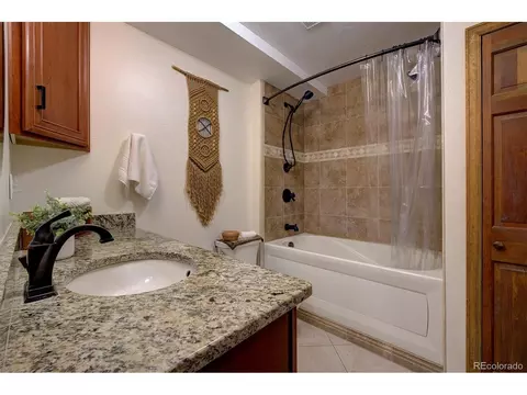 220 Iris Dr, Bailey, CO 80421 photo 17