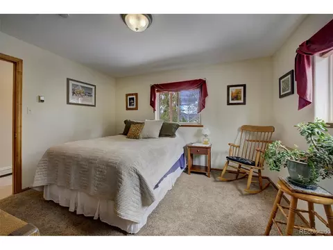 220 Iris Dr, Bailey, CO 80421 photo 21