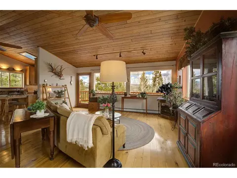 220 Iris Dr, Bailey, CO 80421 photo 9