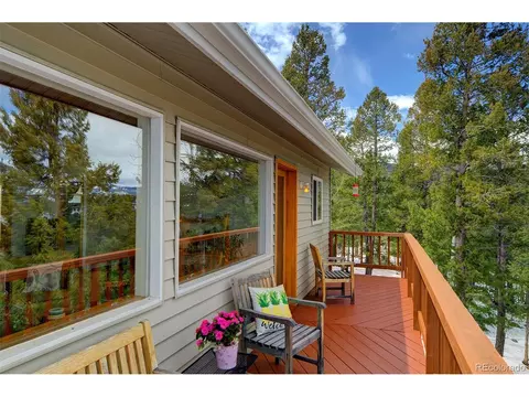 220 Iris Dr, Bailey, CO 80421 photo 29