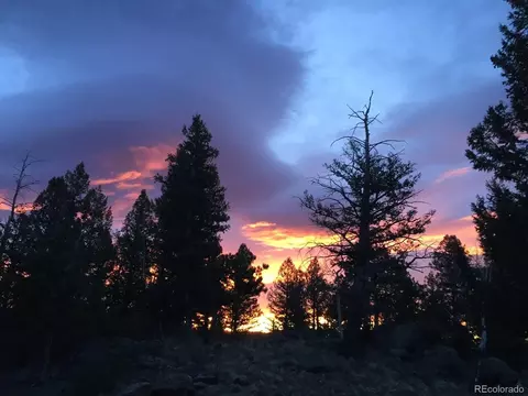 220 Iris Dr, Bailey, CO 80421 photo 39