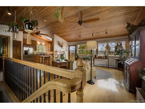 220 Iris Dr, Bailey, CO 80421 photo 13