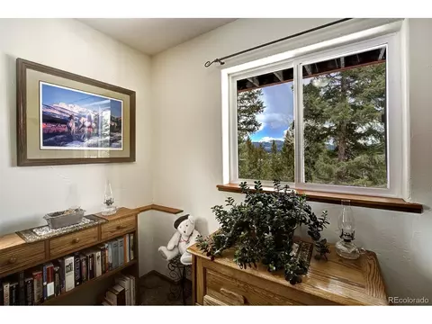 220 Iris Dr, Bailey, CO 80421 photo 25