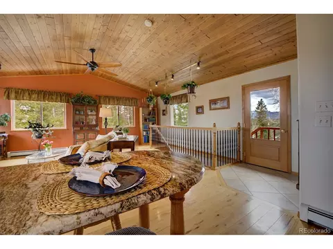 220 Iris Dr, Bailey, CO 80421 photo 8